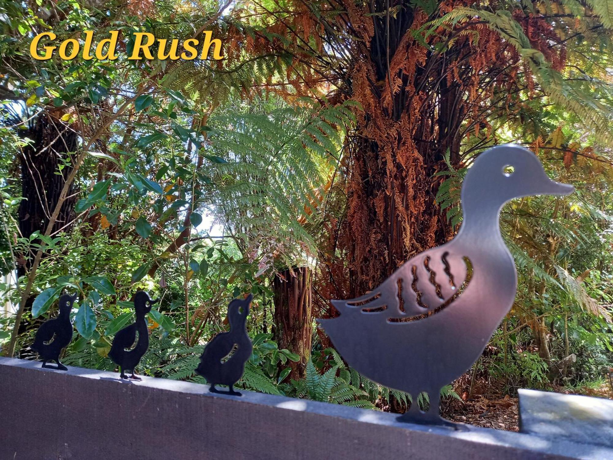Charleston Goldfields Accommodation ภายนอก รูปภาพ